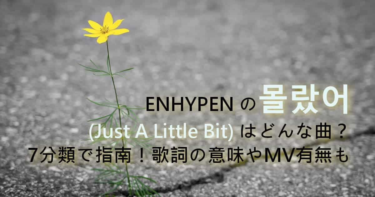 ENHYPENの몰랐어(Just A Little Bit)はどんな曲？7分類で指南！歌詞の意味やMV有無も